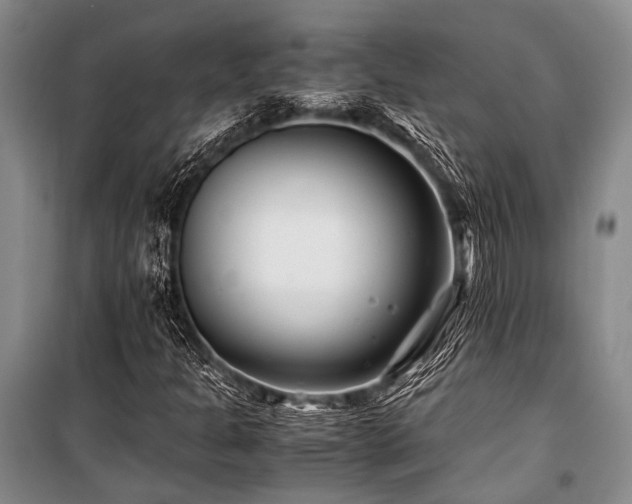 X0000101171301200806271024