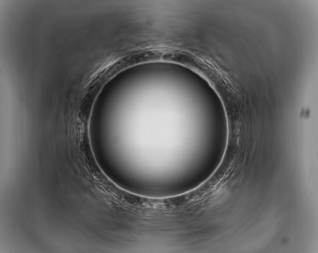 X0000101171302200806271024