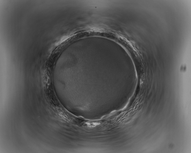 X0000101171303200806271024