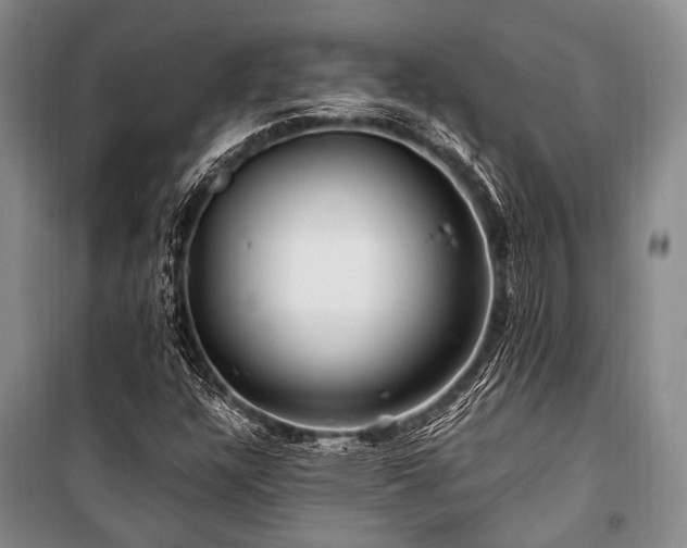 X0000101171304200806271024