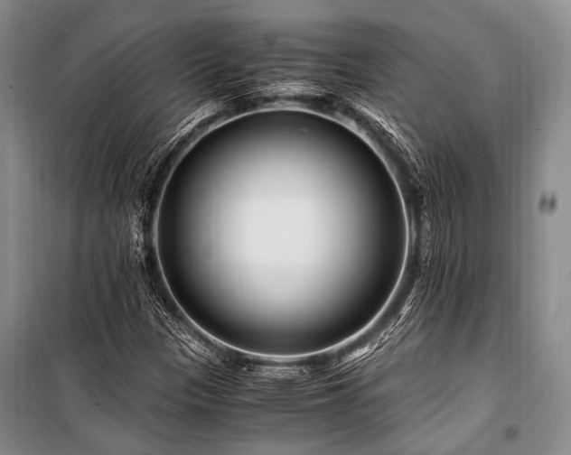 X0000101171305200806271024