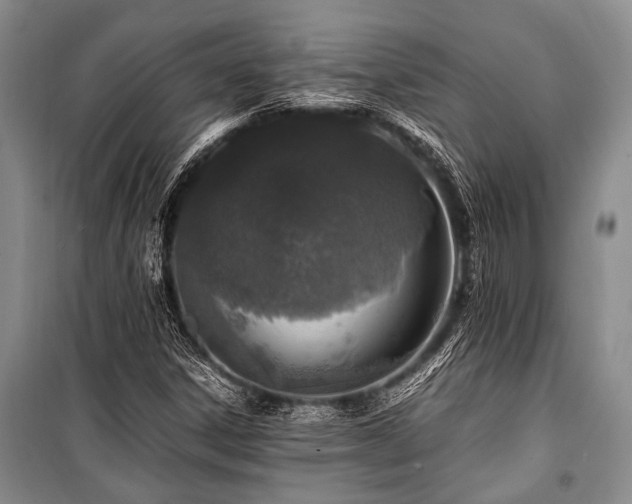 X0000101171306200806271024