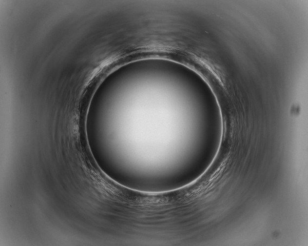 X0000101171307200806271024