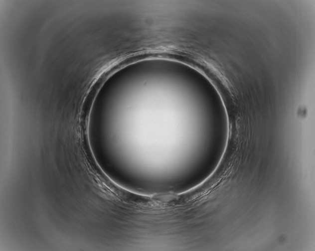 X0000101171308200806271024