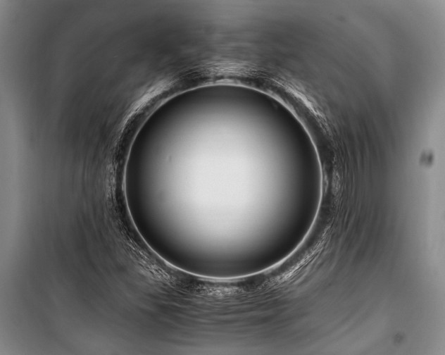 X0000101171309200806271024