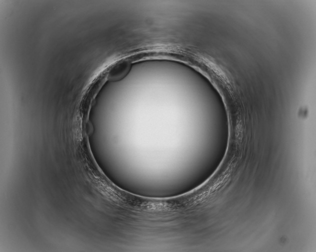 X0000101171310200806271024