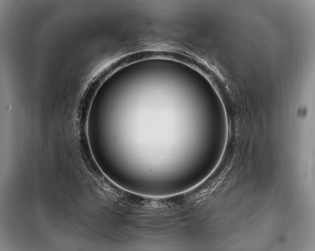 X0000101171311200806271024