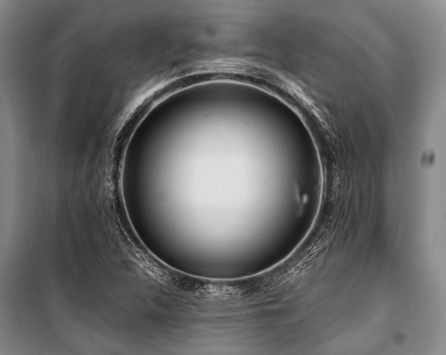 X0000101171312200806271024