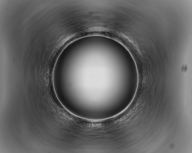 X0000101171313200806271024