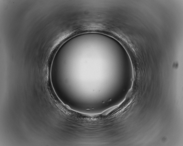 X0000101171317200806271024