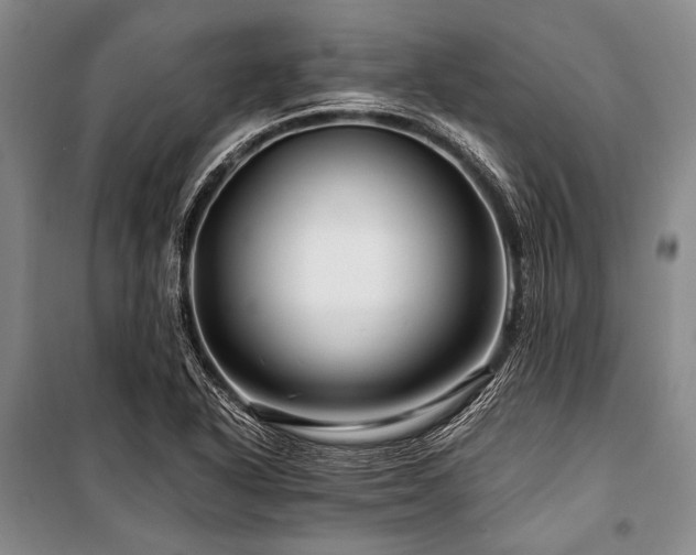 X0000101171318200806271024