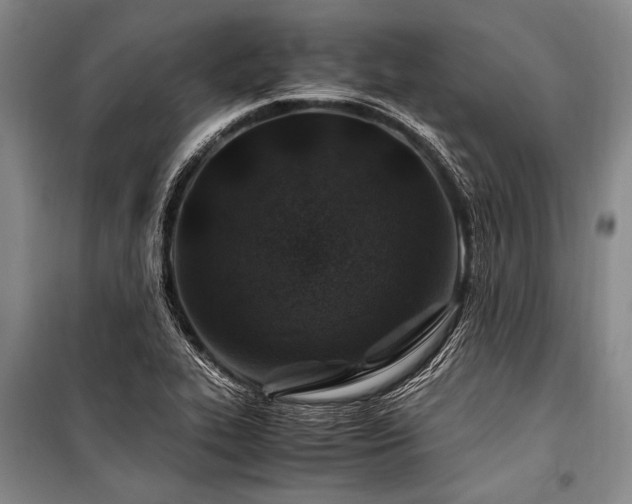 X0000101171319200806271024