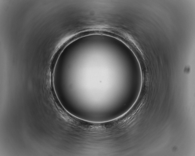 X0000101171320200806271024