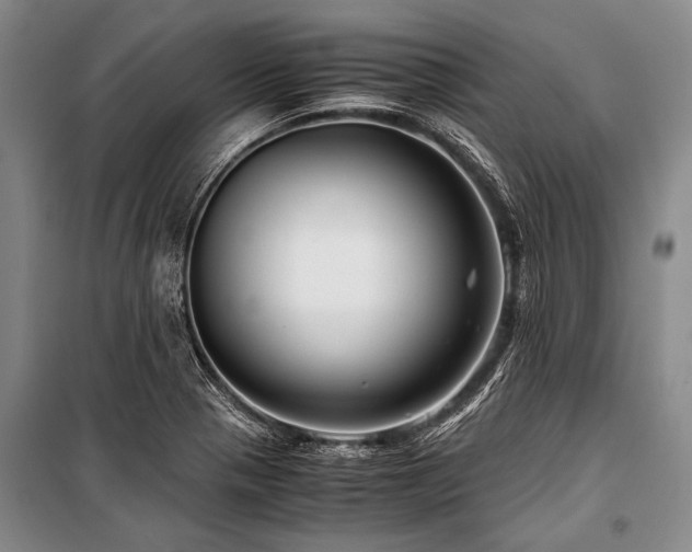 X0000101171321200806271024