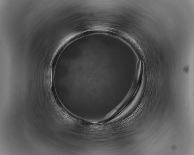 X0000101171323200806271024