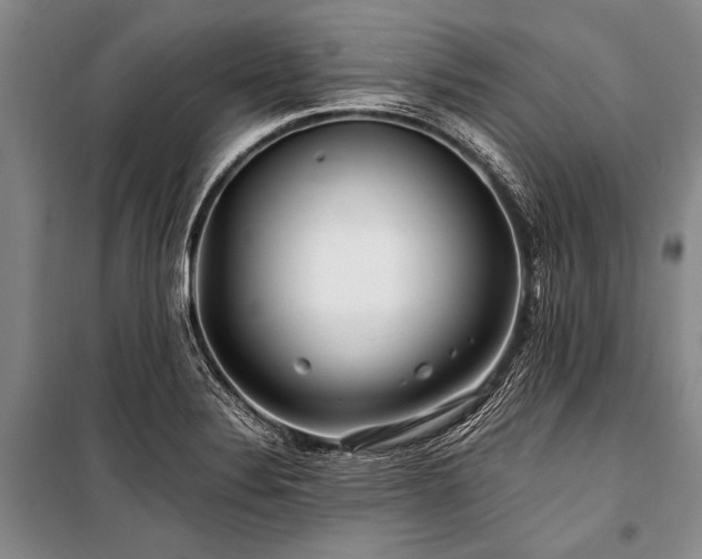 X0000101171324200806271024