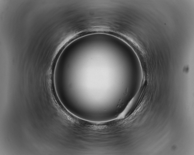 X0000101171325200806271024