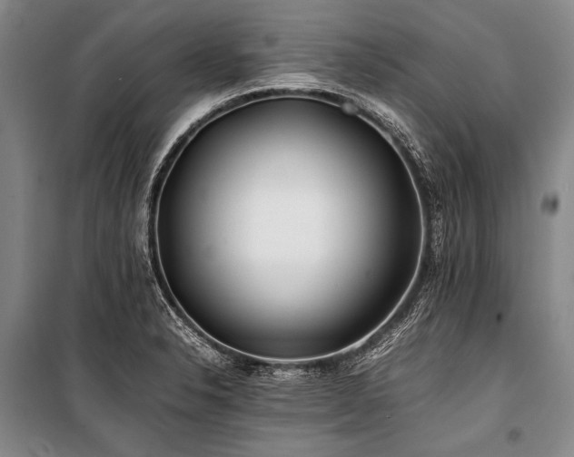 X0000101171326200806271024