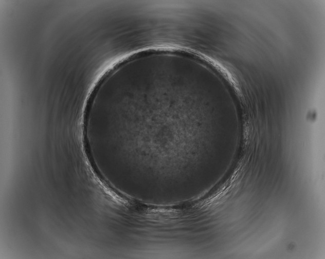 X0000101171327200806271024