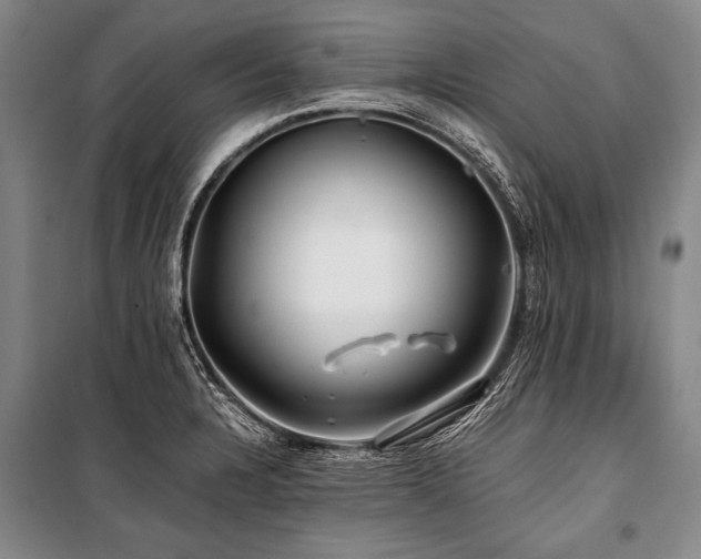 X0000101171328200806271024