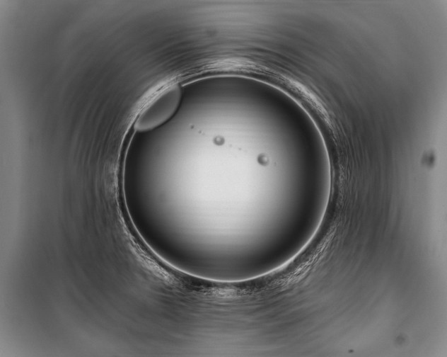 X0000101171330200806271024