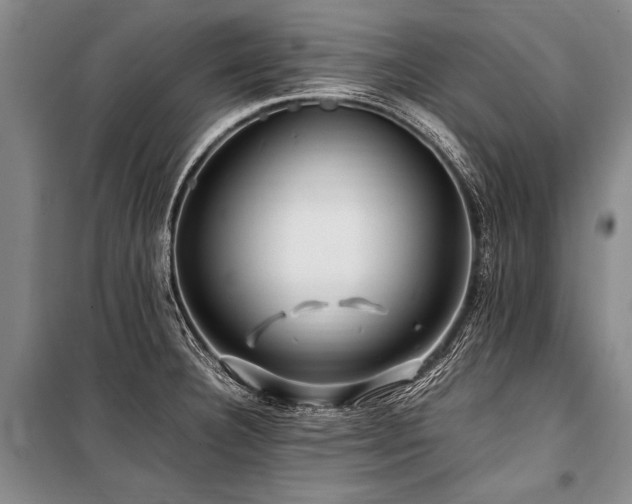 X0000101171332200806271024