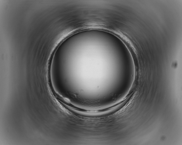 X0000101171333200806271024