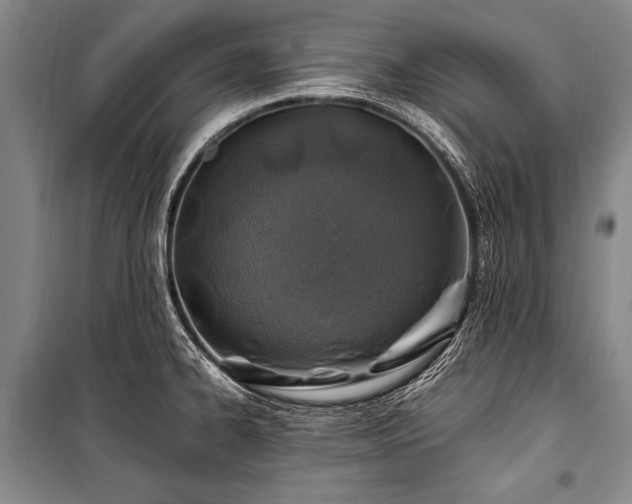 X0000101171334200806271024