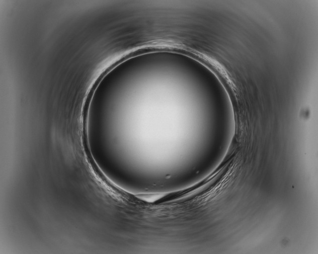 X0000101171335200806271024