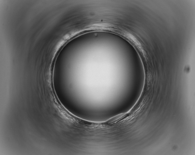 X0000101171336200806271024