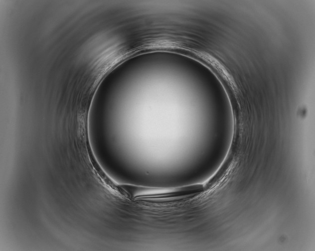 X0000101171337200806271024