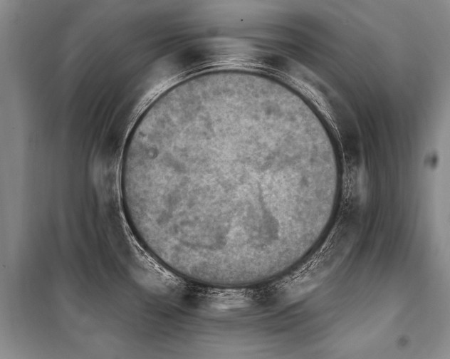 X0000101171338200806271024