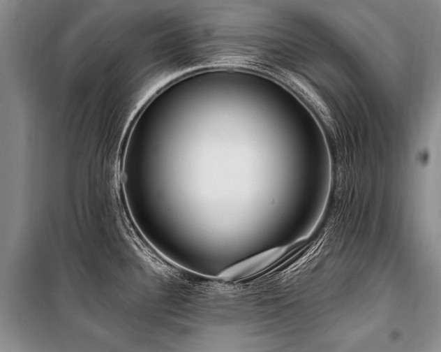 X0000101171340200806271024