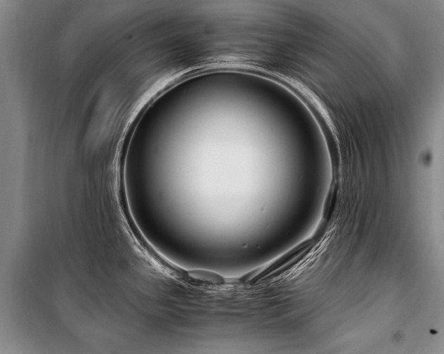 X0000101171341200806271024