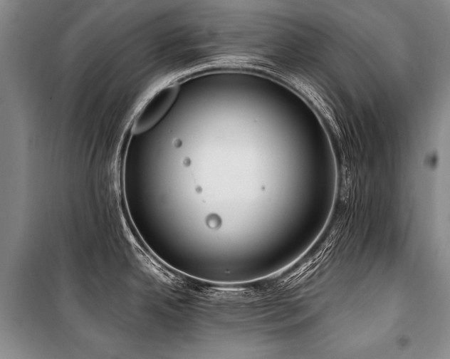 X0000101171342200806271024