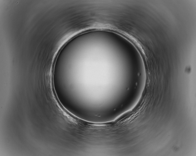 X0000101171343200806271024