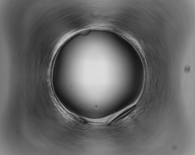 X0000101171344200806271025