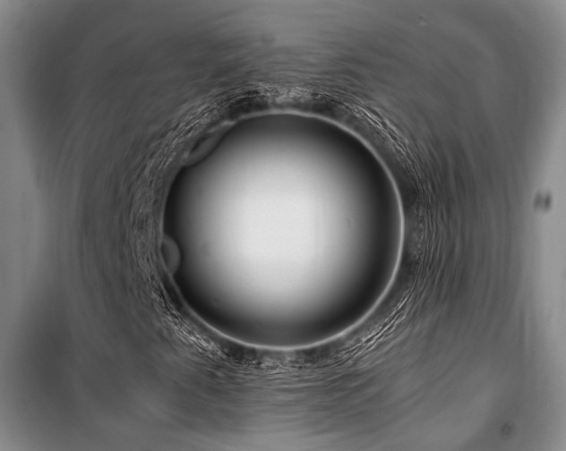 X0000101171345200806271024