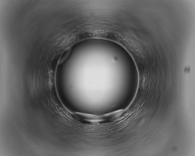 X0000101171346200806271024