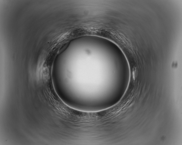 X0000101171347200806271024