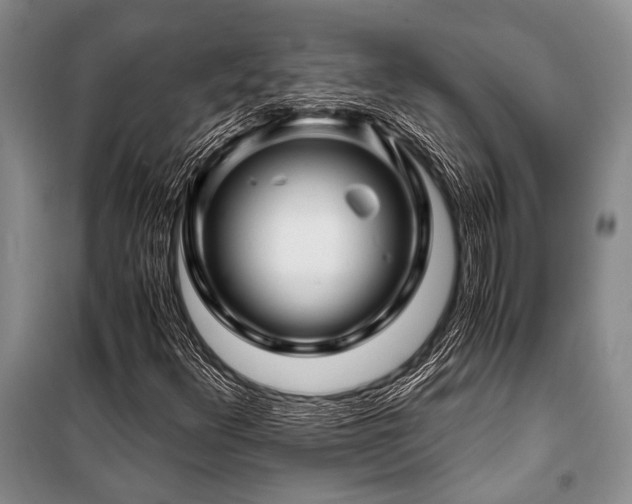 X0000101171348200806271024