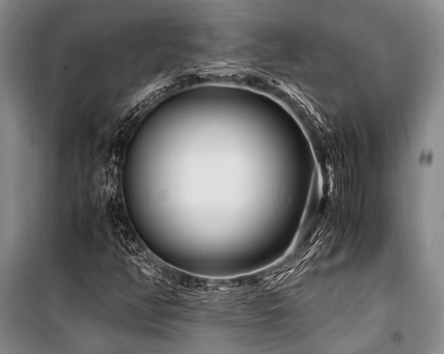 X0000101171350200806271024