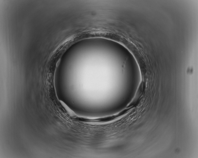 X0000101171351200806271024