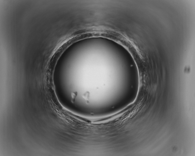 X0000101171352200806271024