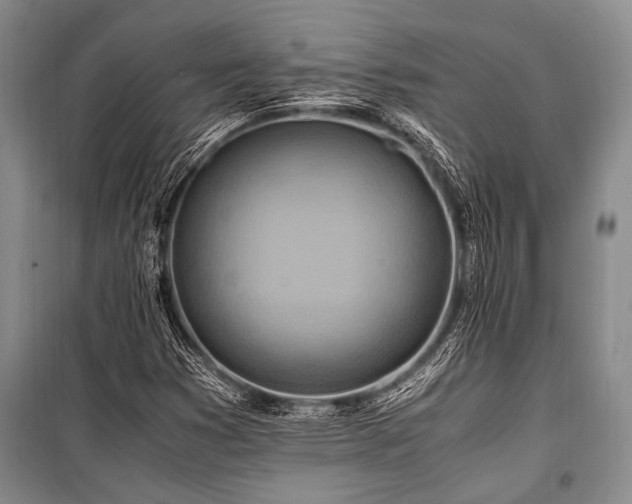 X0000101171353200806271024