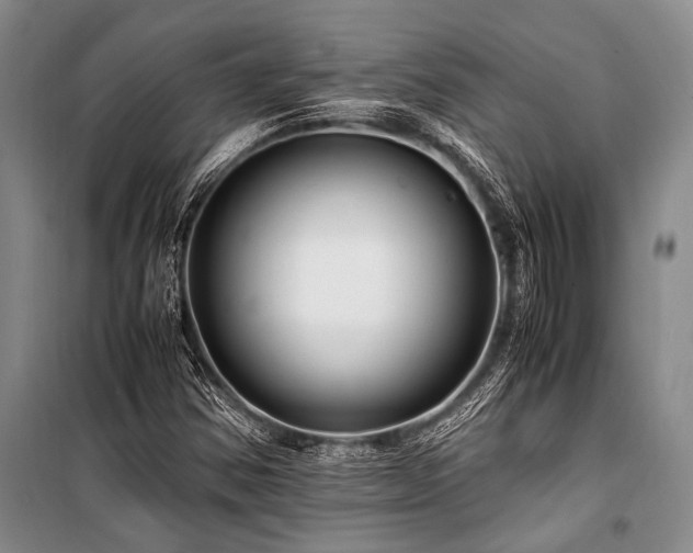 X0000101171354200806271024