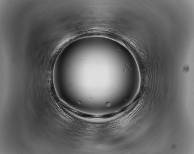 X0000101171355200806271024