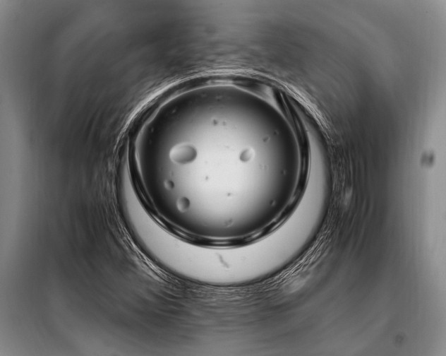 X0000101171356200806271024