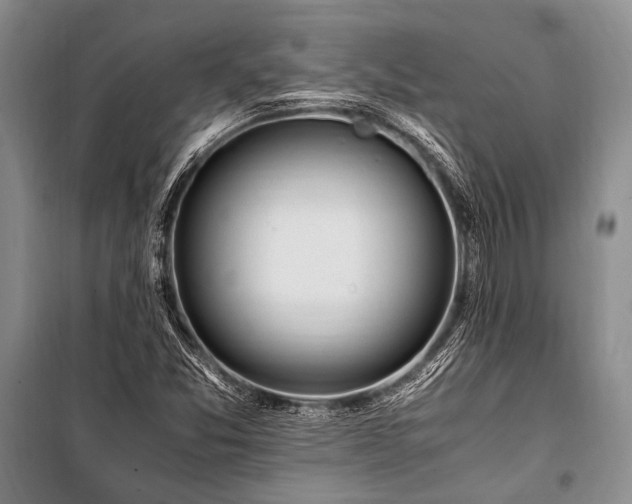 X0000101171357200806271024