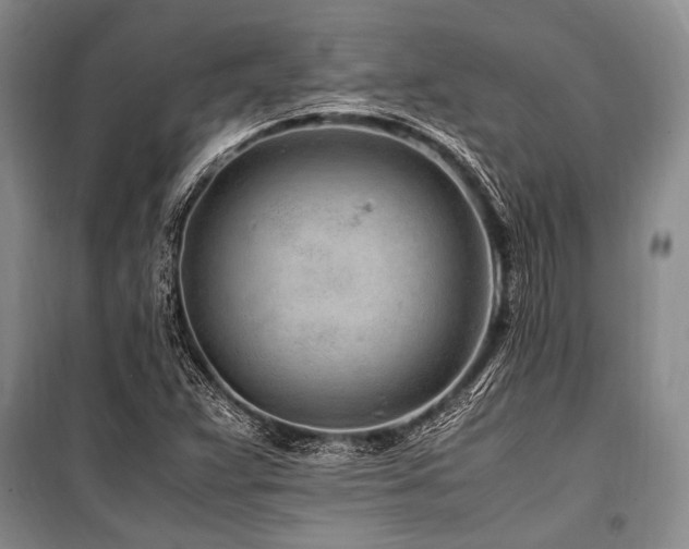 X0000101171359200806271024